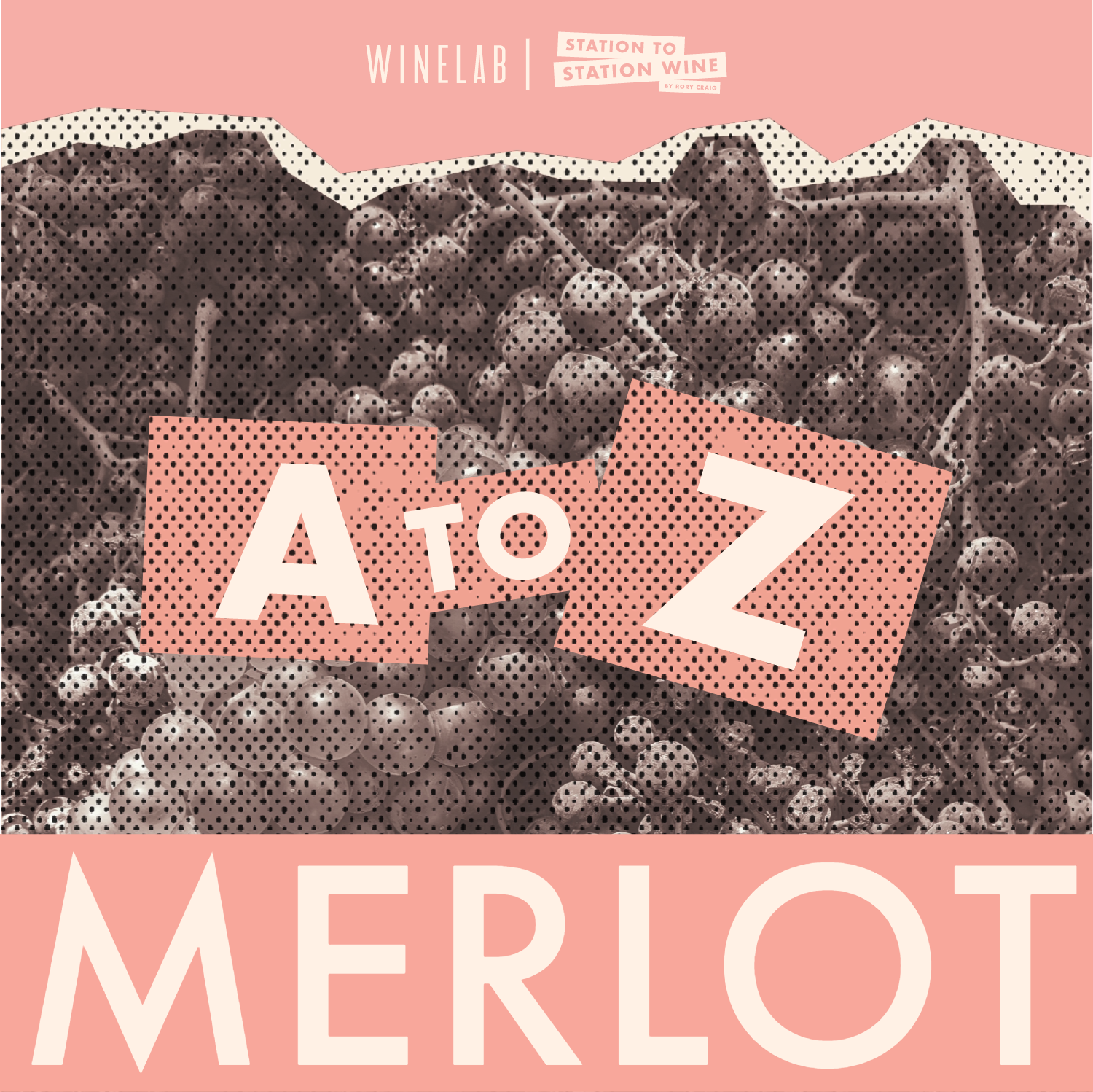 Merlot: Maligned & Misunderstood